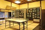 IMG_9213-1.JPG